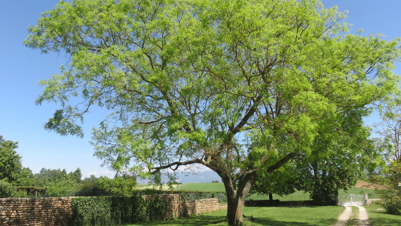 A La Belle Histoire Chateauneuf-sur-Isere Exterior foto