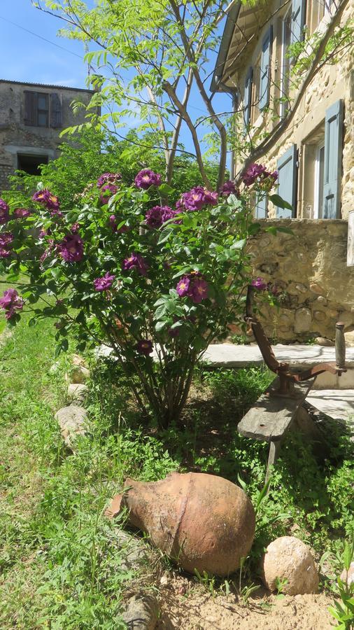 A La Belle Histoire Chateauneuf-sur-Isere Exterior foto